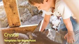  Presentation with domestic animals - Cool new presentation theme with taking care of domestic animals backdrop and a tawny brown colored foreground
