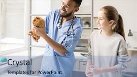  Presentation with guinea pig - PPT theme featuring taking care of pet background and a light blue colored foreground