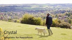  Presentation with rear view mirror - Audience pleasing slides consisting of taking golden retriever for walk backdrop and a yellow colored foreground