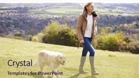  Presentation with golden revetment wall putty high - Colorful PPT layouts enhanced with taking golden retriever for walk backdrop and a yellow colored foreground