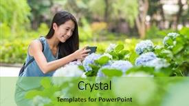  Presentation with hydrangea - Presentation theme with taking photo on hydrangea garden background and a yellow colored foreground