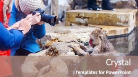  Presentation with hot springs - PPT theme enhanced with taking photos of snow monkey background and a coral colored foreground
