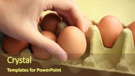  Presentation with packaging and labeling - Beautiful theme featuring taking raw egg from packaging backdrop and a tawny brown colored foreground