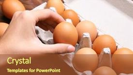  Presentation with packaging technology - Cool new presentation theme with taking raw egg from packaging backdrop and a red colored foreground