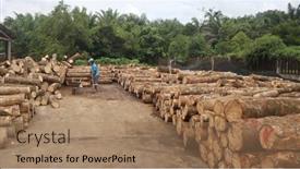  Presentation with lumber - 