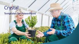  Presentation with meet the work team - Audience pleasing slide deck consisting of talking selecting the finest plant backdrop and a  colored foreground