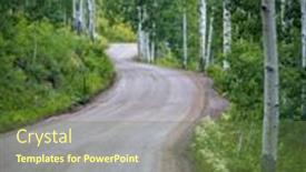  Presentation with mangroves mangrove trees along - Slide set featuring tall-aspen-trees-along-scenic background and a tawny brown colored foreground