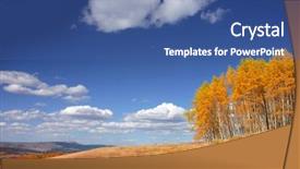  Presentation with tall - PPT theme enhanced with tall aspen trees background and a ocean colored foreground