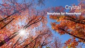  Presentation with autumn blue - Presentation consisting of tall-colorful-autumn-trees-reaching background and a  colored foreground