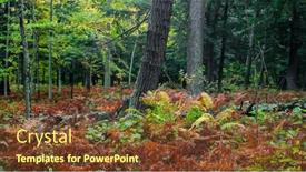  Presentation with tree river - Slides featuring tall-conifer-tree-between-colorful background and a tawny brown colored foreground
