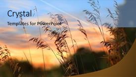  Presentation with sky sun - Beautiful slides featuring tall grass and sun set backdrop and a light blue colored foreground