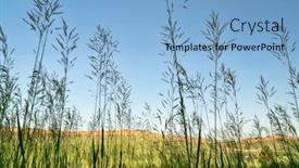  Presentation with tall - Amazing PPT theme having tall grass silhouette against colorado backdrop and a light blue colored foreground