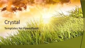  Presentation with tall - Slides enhanced with tall green grass blowing background and a  colored foreground