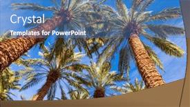  Presentation with sun desert - Slide deck consisting of tall-palm-trees-are-beautifully background and a  colored foreground