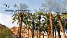  Presentation with sun desert - PPT theme with tall-palm-trees-are-beautifully background and a light blue colored foreground