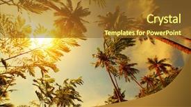  Presentation with tall - Amazing slides having tall palm trees backdrop and a tawny brown colored foreground