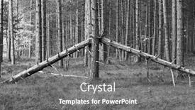  Presentation with tall - Cool new PPT layouts with tall-pine-tree-holding-up backdrop and a gray colored foreground