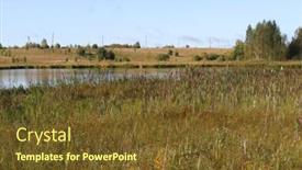  Presentation with swamp - Amazing presentation design having tall-reeds-in-a-swamp backdrop and a tawny brown colored foreground