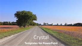  Presentation with soy - PPT layouts featuring tall-tree-by-the-dirt background and a coral colored foreground