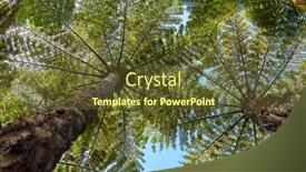  Presentation with ferns - Slides enhanced with tall-tree-ferns-view background and a tawny brown colored foreground