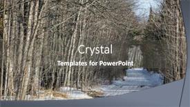  Presentation with tall - Beautiful slides featuring tall-tree-tunnel-next backdrop and a gray colored foreground