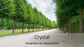  Presentation with tall - Slide set having tall trees along the footpath background and a light gray colored foreground