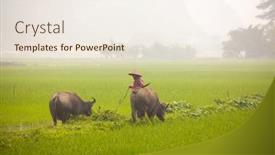  Presentation with vietnam farmer - 