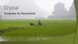  Presentation with vietnam farmer - 