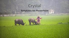  Presentation with vietnam farmer - 