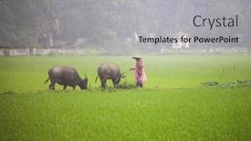  Presentation with vietnam farmer - 