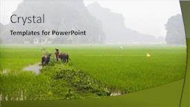  Presentation with vietnam farmer - 