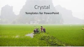  Presentation with vietnam farmer - 