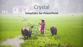  Presentation with vietnam farmer - 