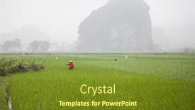  Presentation with vietnam farmer - 