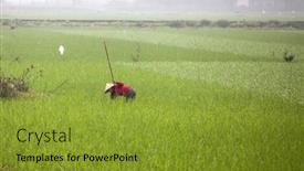  Presentation with vietnam farmer - 