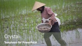  Presentation with vietnam farmer - 