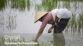  Presentation with vietnam farmer - 