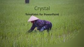  Presentation with vietnam farmer - 