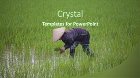  Presentation with vietnam farmer - 