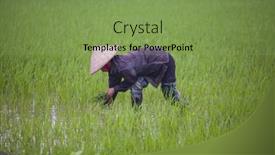  Presentation with vietnam farmer - 