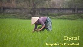  Presentation with vietnam farmer - 