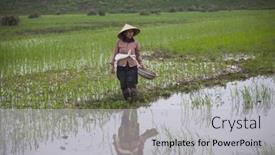  Presentation with vietnam farmer - 