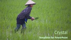  Presentation with vietnam farmer - 