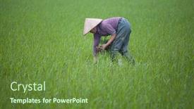  Presentation with vietnam farmer - 