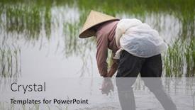  Presentation with vietnam farmer - 