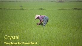  Presentation with vietnam farmer - 