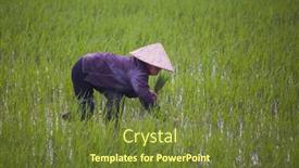  Presentation with vietnam farmer - 