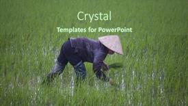  Presentation with vietnam farmer - 