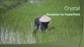  Presentation with vietnam farmer - 