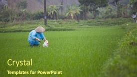  Presentation with vietnam farmer - 